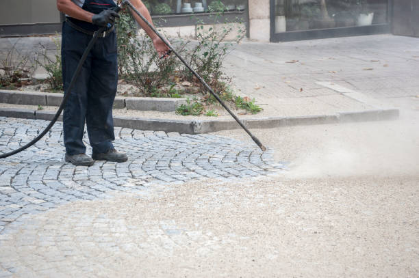 Best Driveway Pressure Washing  in Jasper, FL
