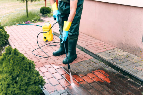 Best Fence Cleaning  in Jasper, FL